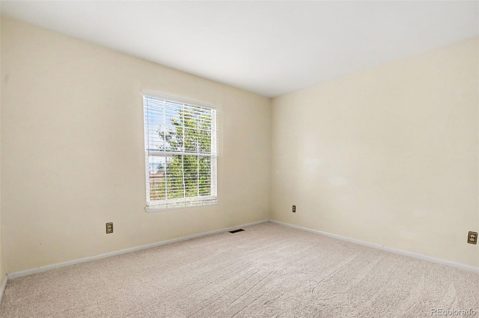 MLS Image #29 for 9231  millcreek court,highlands ranch, Colorado