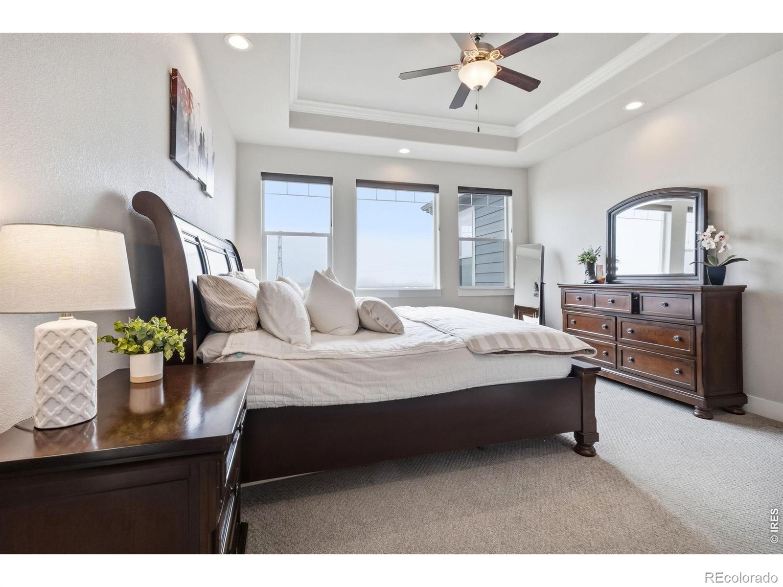 MLS Image #16 for 5042  prairie lark lane,severance, Colorado