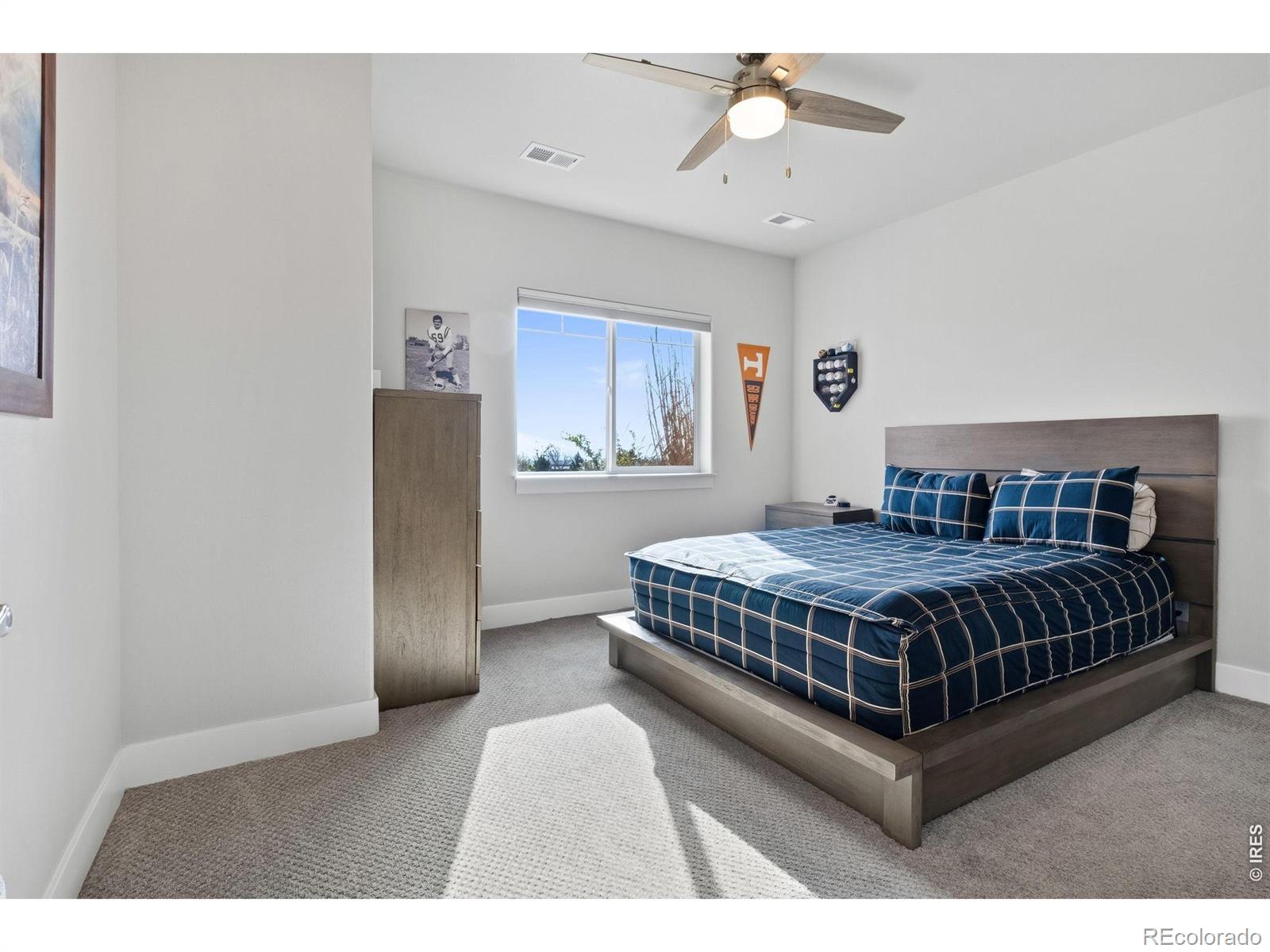 MLS Image #31 for 5042  prairie lark lane,severance, Colorado
