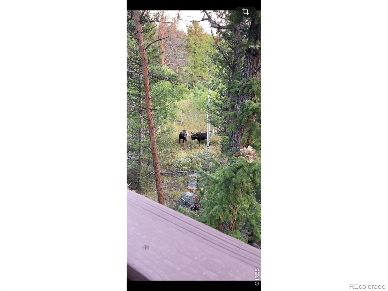 MLS Image #27 for 153  columbine drive,red feather lakes, Colorado