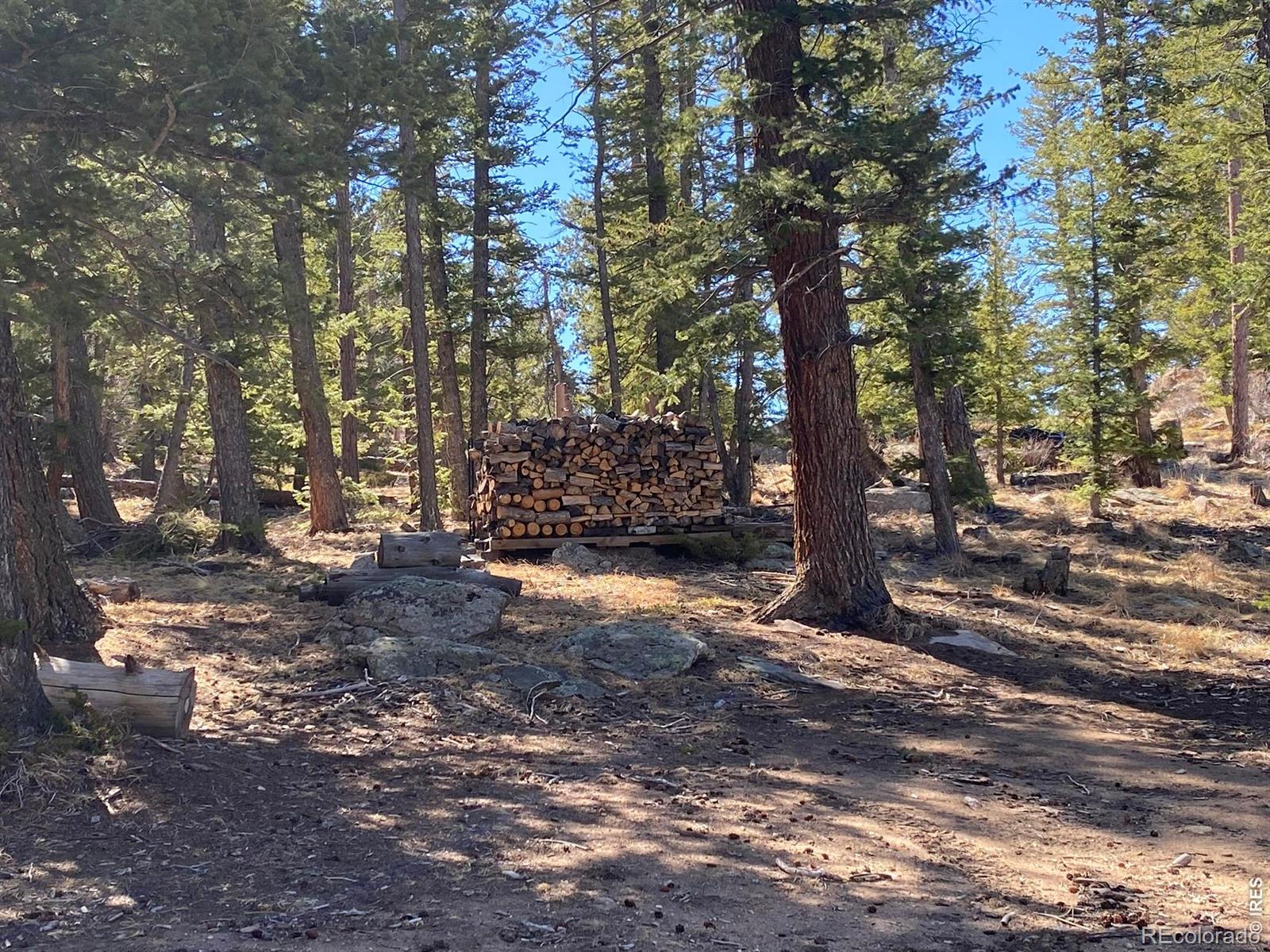 MLS Image #6 for 153  columbine drive,red feather lakes, Colorado