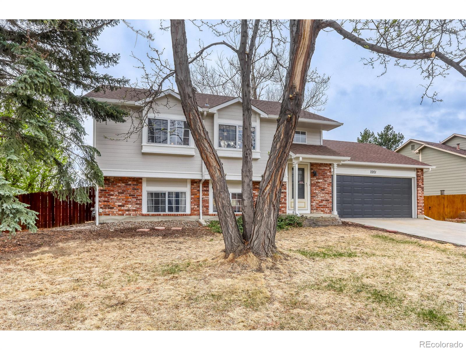 MLS Image #3 for 2201  22nd avenue,longmont, Colorado