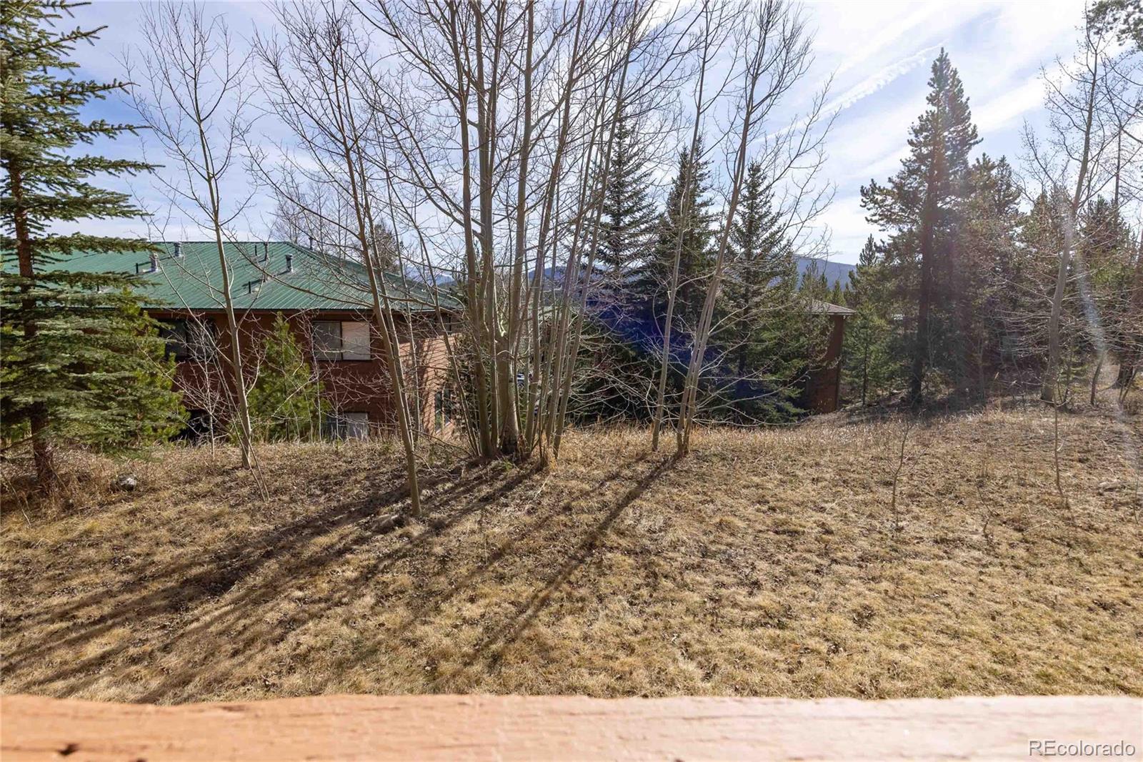 MLS Image #10 for 735  lagoon drive,frisco, Colorado