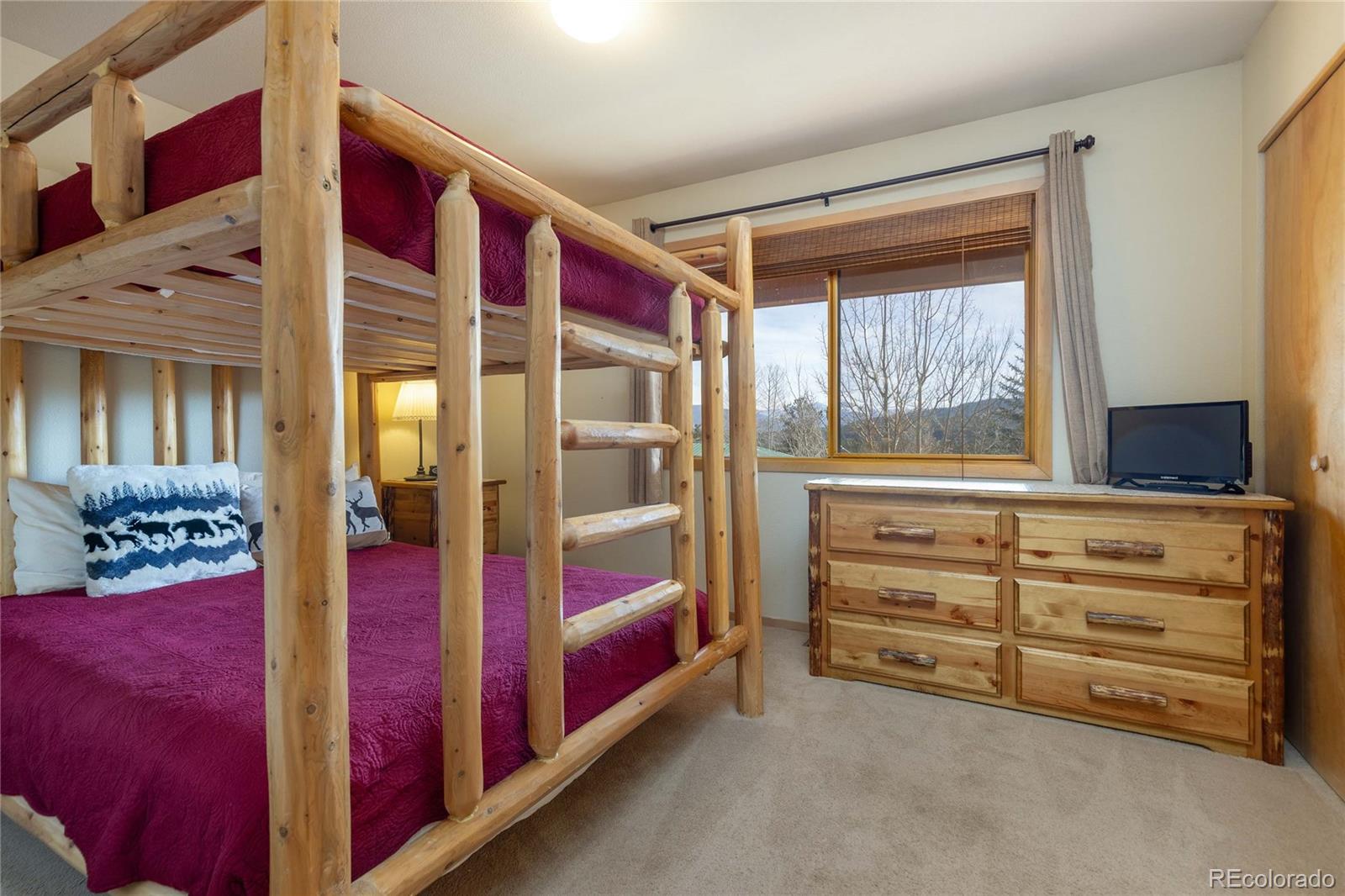 MLS Image #15 for 735  lagoon drive,frisco, Colorado