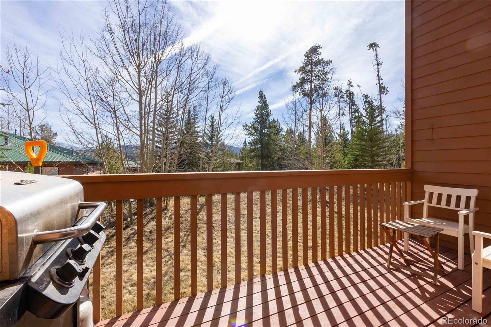 MLS Image #8 for 735  lagoon drive,frisco, Colorado