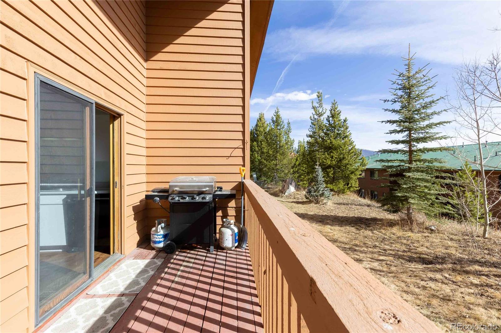 MLS Image #9 for 735  lagoon drive,frisco, Colorado