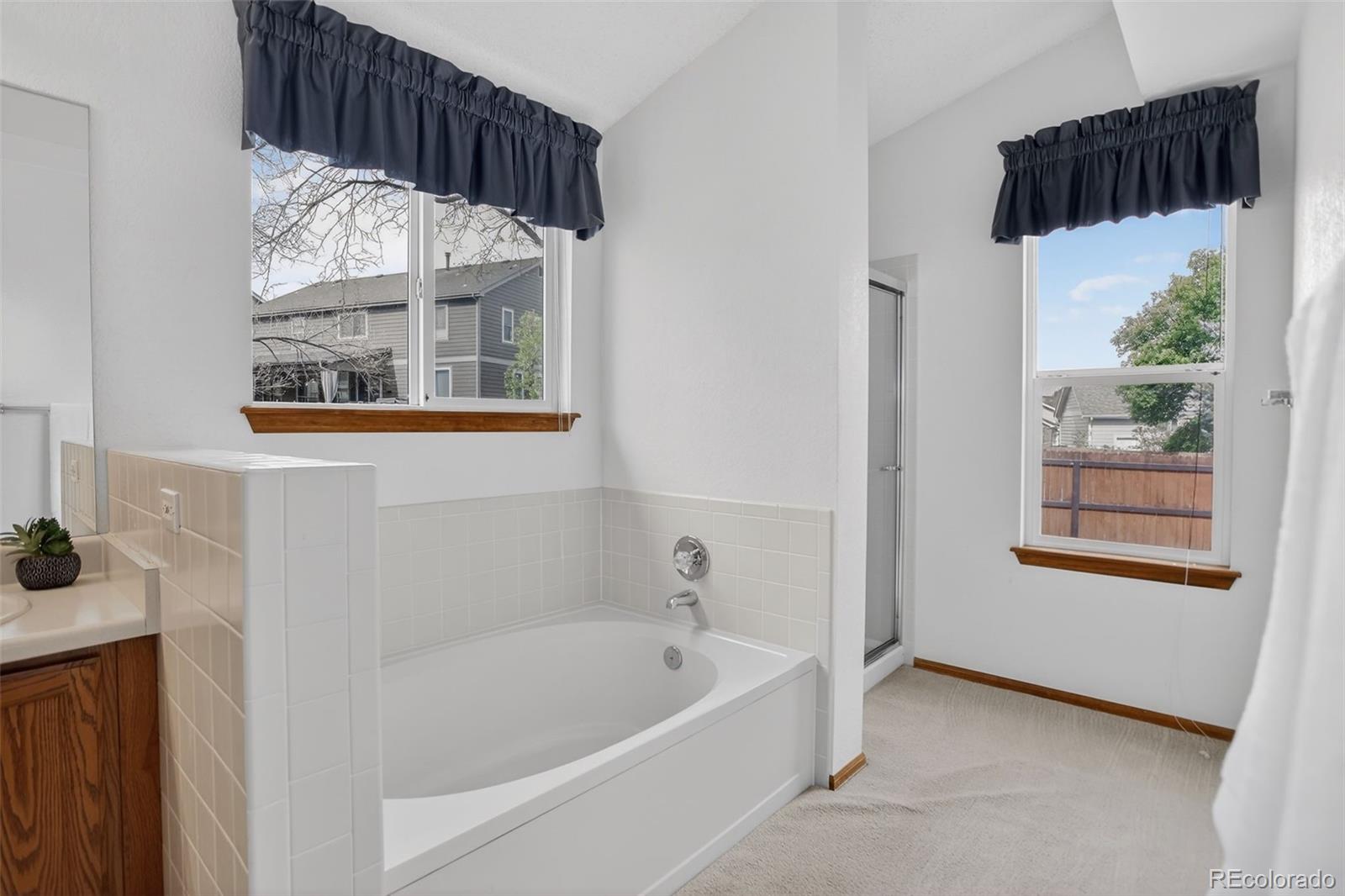 MLS Image #16 for 8843  wagner court,littleton, Colorado