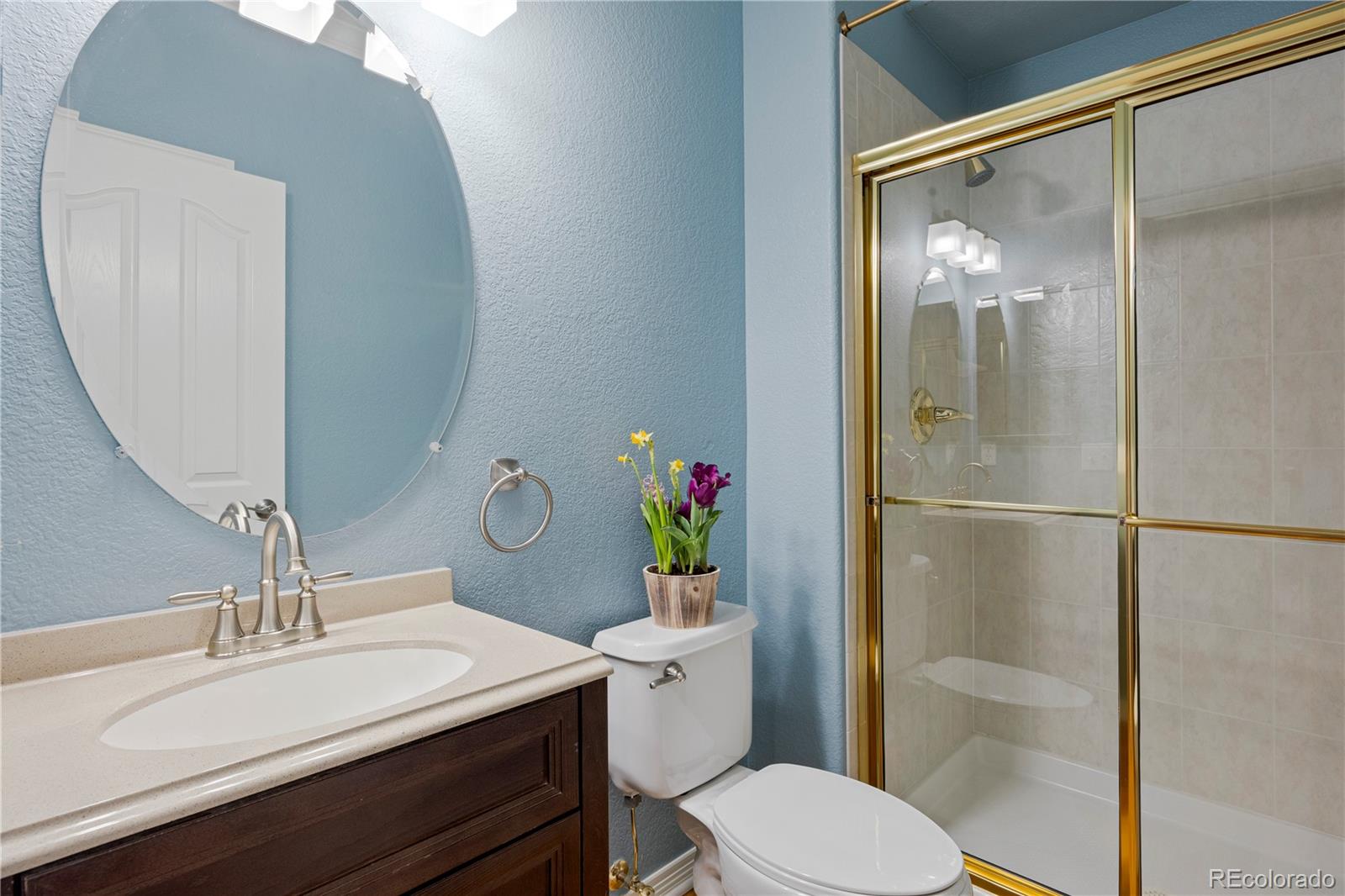 MLS Image #10 for 9843  firestone circle,lone tree, Colorado