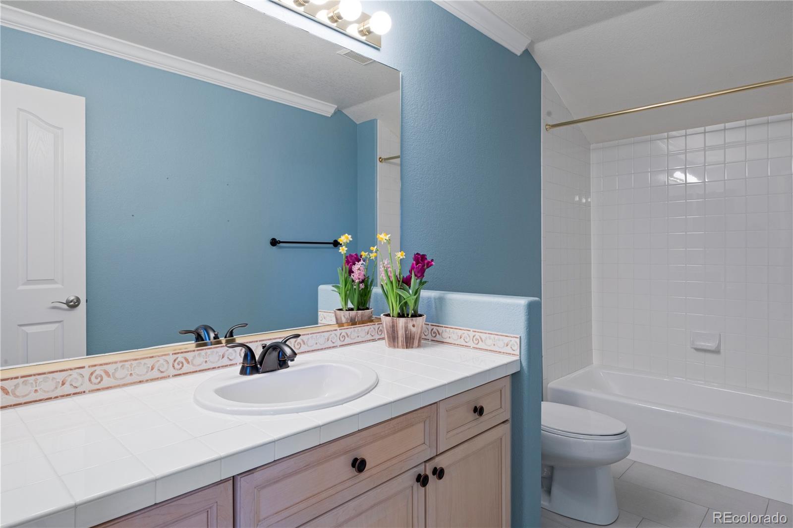 MLS Image #16 for 9843  firestone circle,lone tree, Colorado
