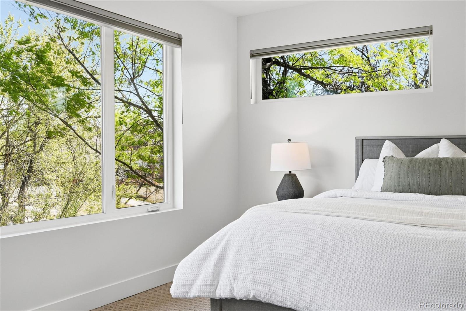 MLS Image #25 for 2379  ivanhoe street,denver, Colorado