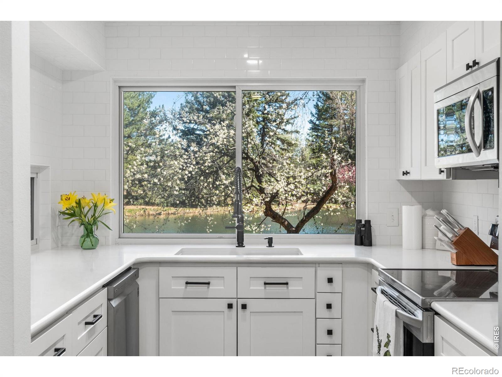 MLS Image #13 for 1901  waters edge street,fort collins, Colorado