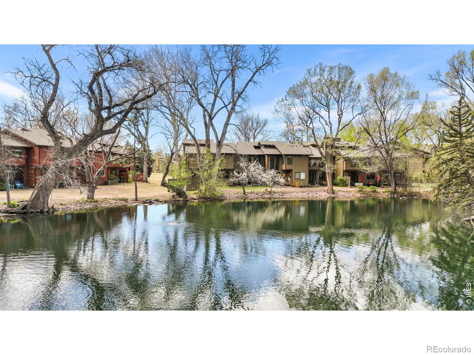 MLS Image #2 for 1901  waters edge street,fort collins, Colorado