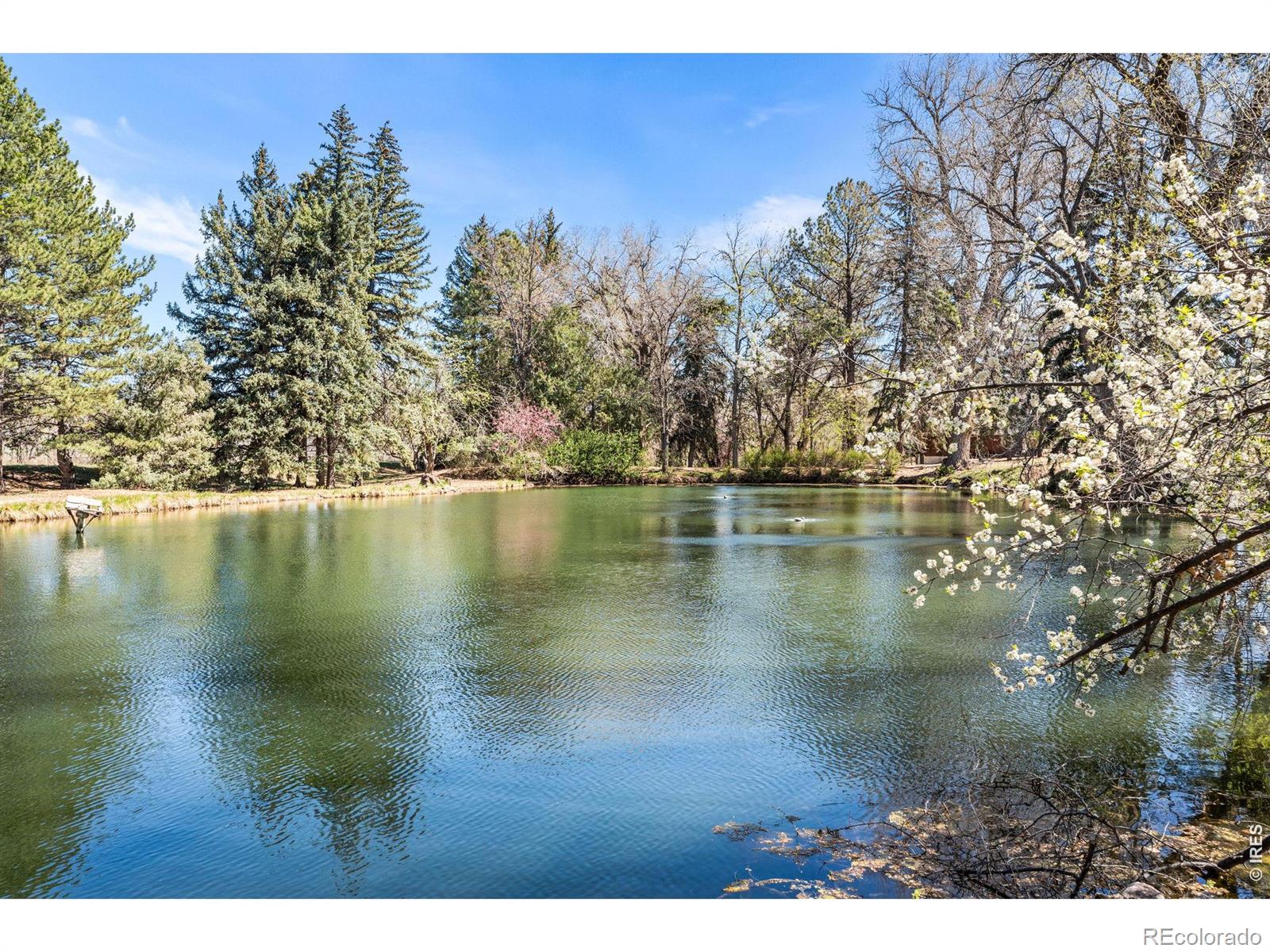 MLS Image #38 for 1901  waters edge street,fort collins, Colorado