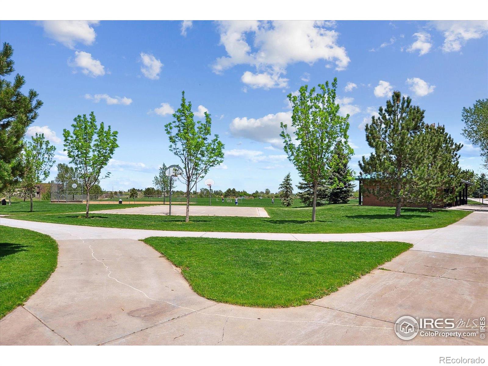 MLS Image #30 for 4925 e ashton avenue,castle rock, Colorado