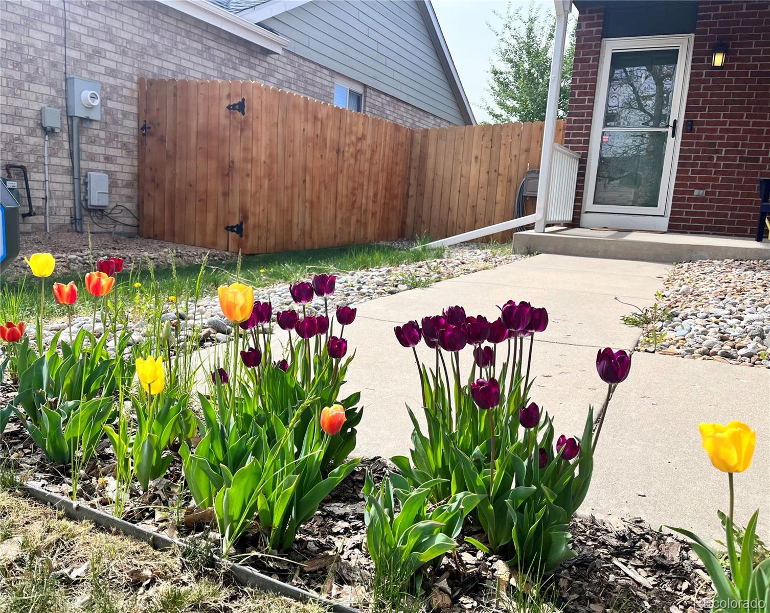 MLS Image #3 for 404 w 116th avenue,northglenn, Colorado