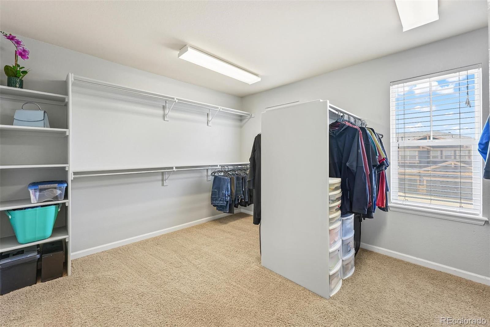 MLS Image #15 for 14010  detroit drive,thornton, Colorado