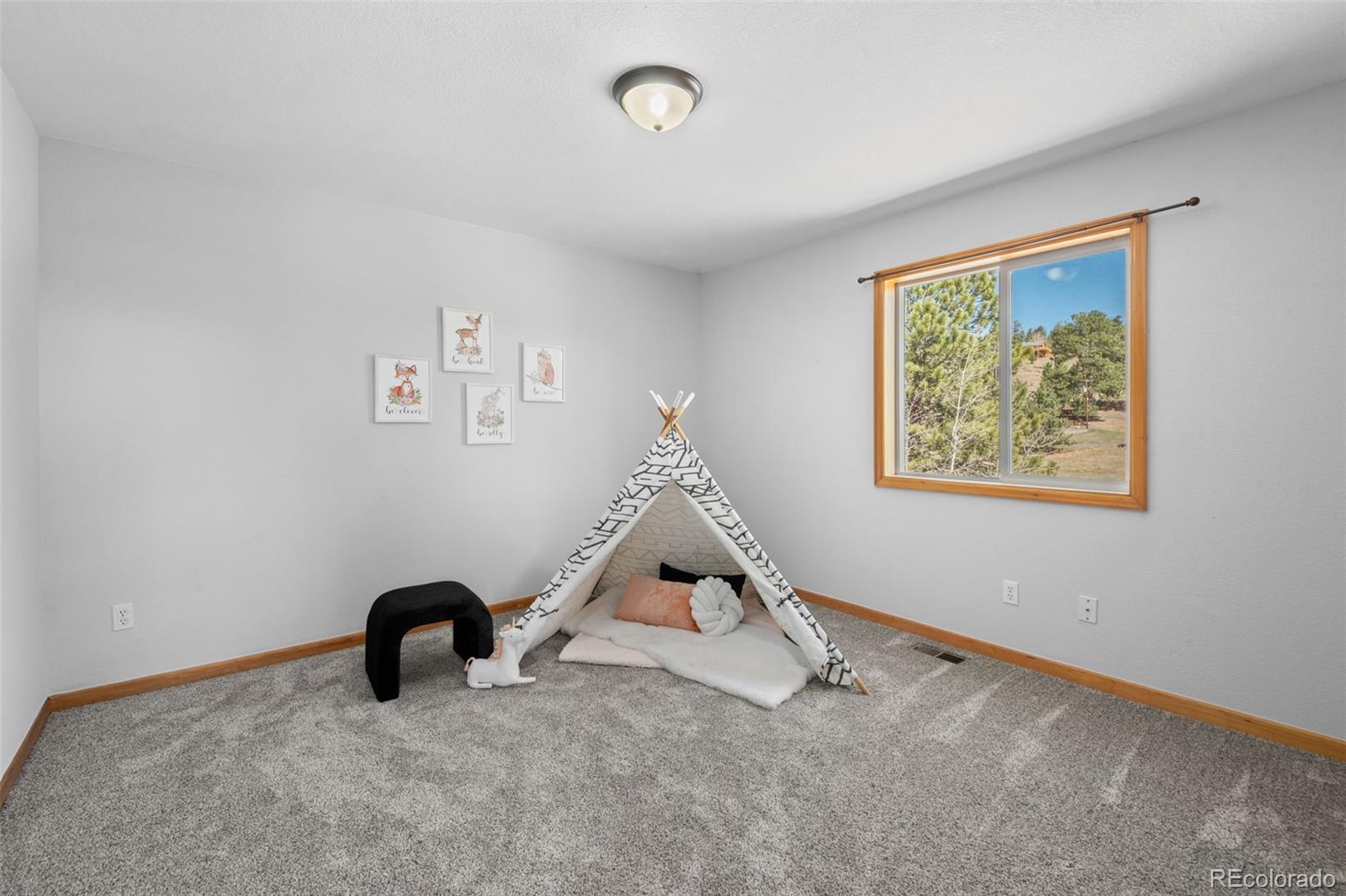 MLS Image #27 for 119  quakie way,bailey, Colorado