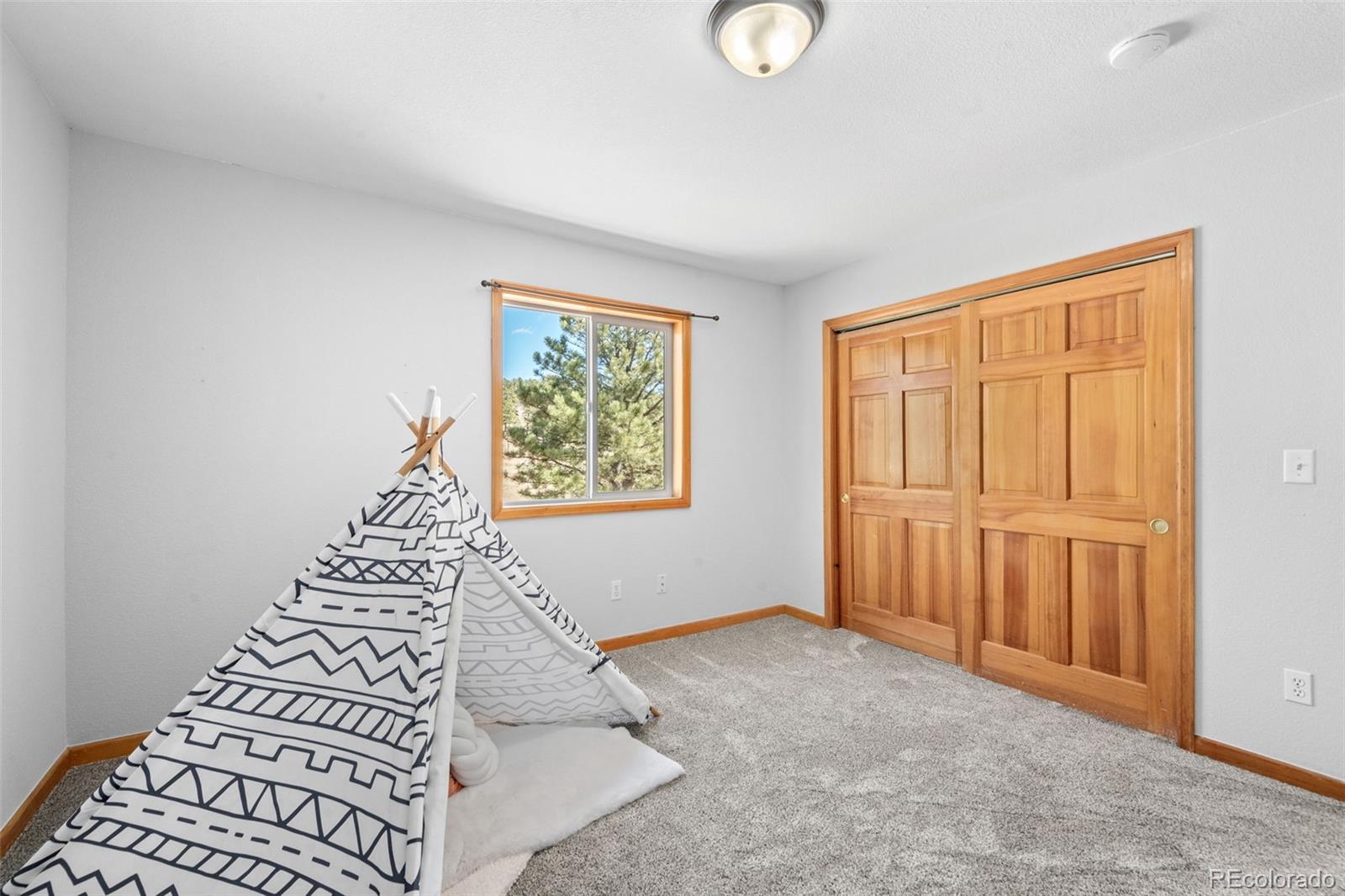 MLS Image #28 for 119  quakie way,bailey, Colorado