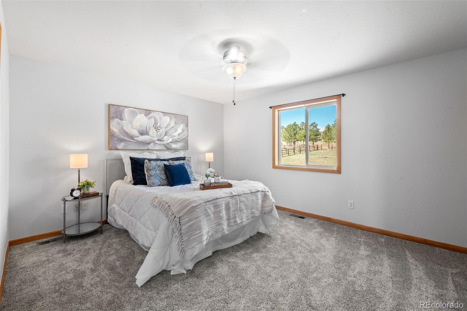 MLS Image #5 for 119  quakie way,bailey, Colorado