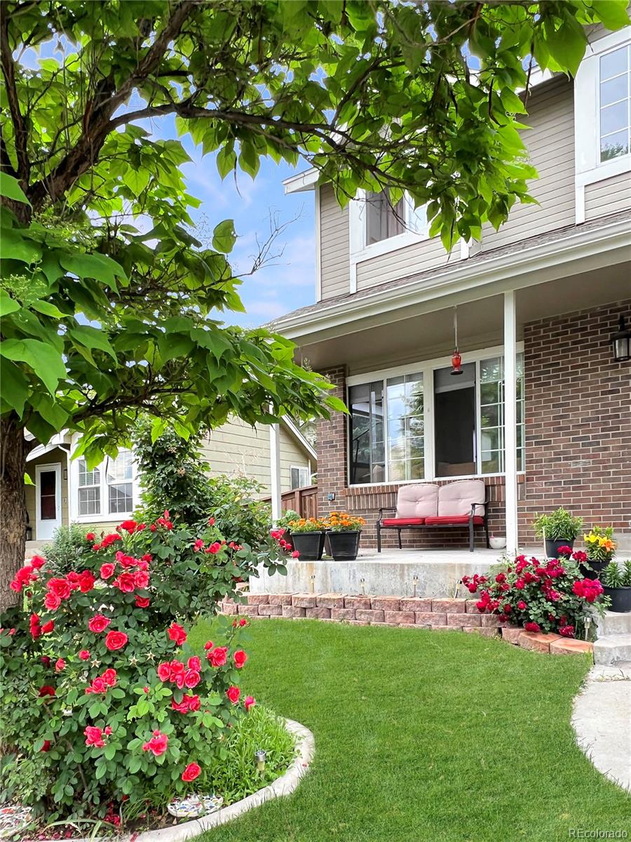 MLS Image #1 for 935  brittany way,highlands ranch, Colorado