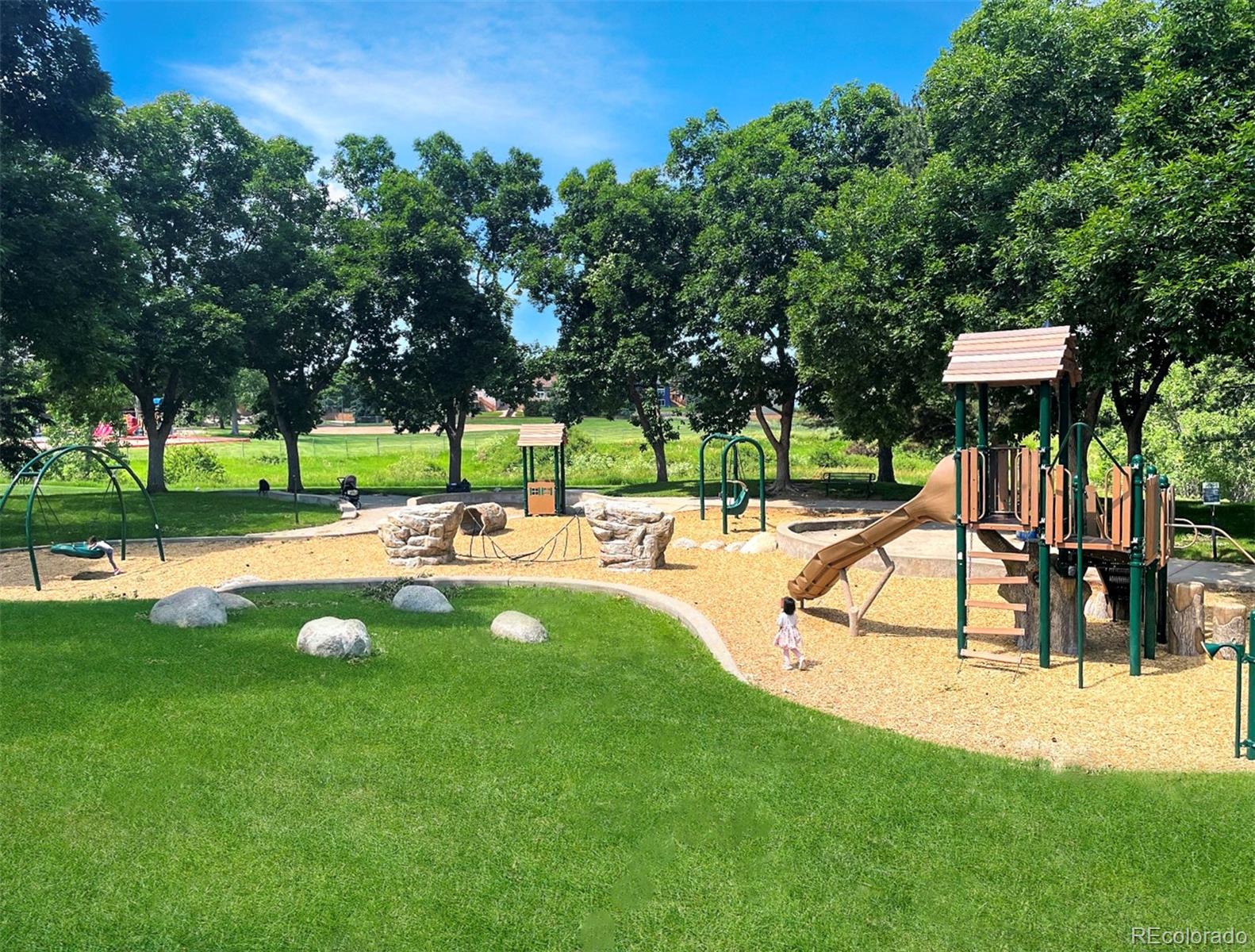 MLS Image #23 for 935  brittany way,highlands ranch, Colorado