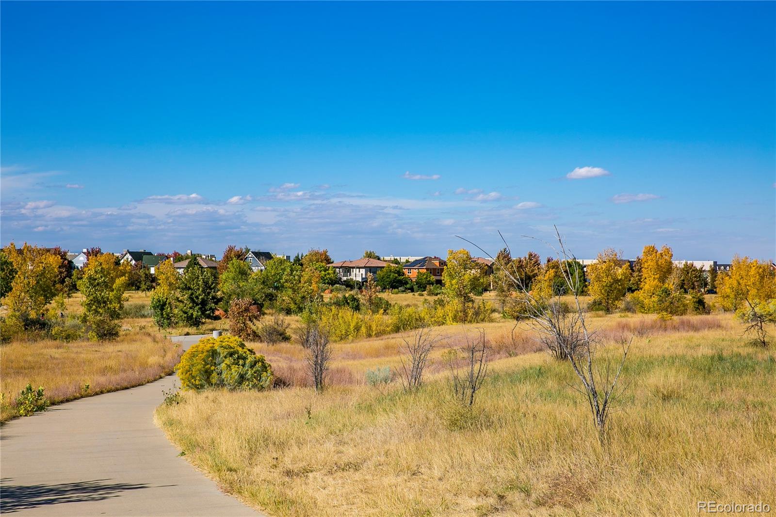 MLS Image #38 for 8345 e 22nd avenue,denver, Colorado