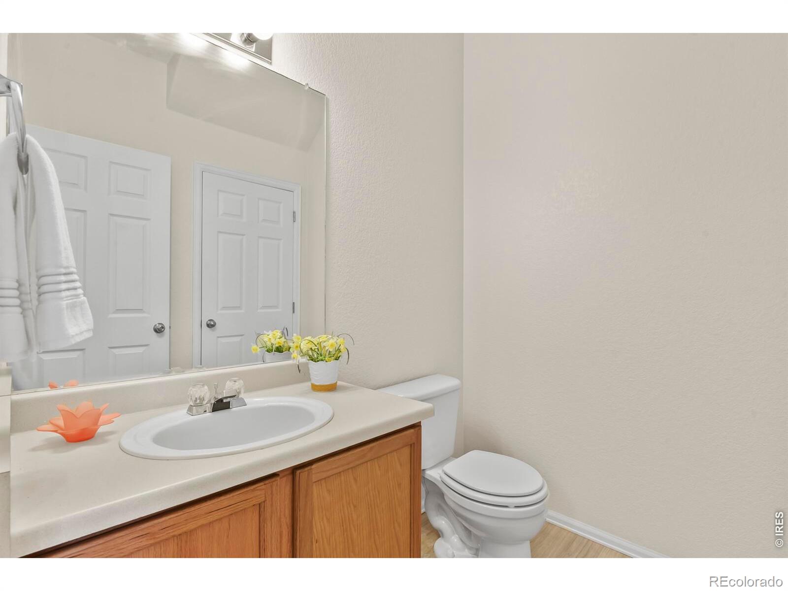 MLS Image #6 for 214  blue bonnet drive ,brighton, Colorado