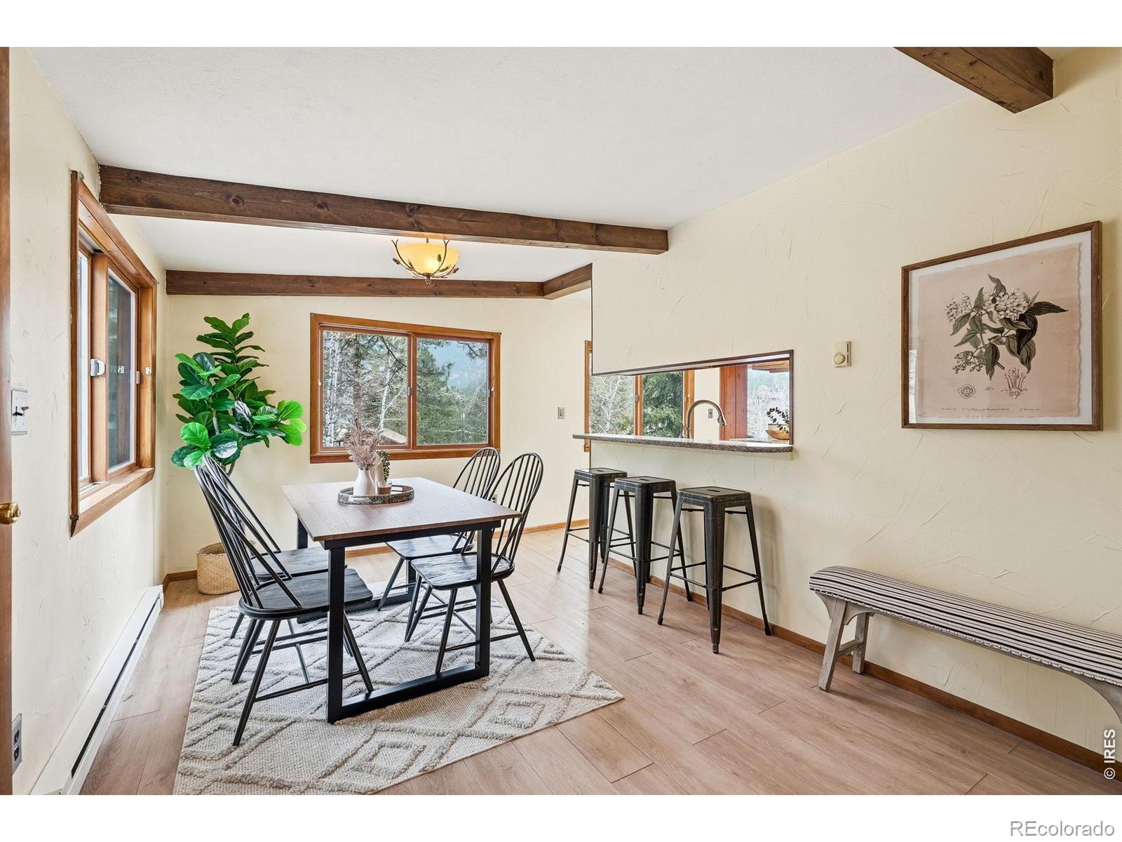 MLS Image #10 for 28  red lily place,evergreen, Colorado