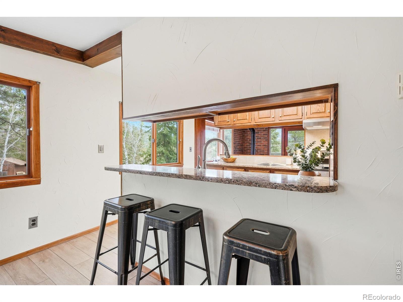 MLS Image #13 for 28  red lily place,evergreen, Colorado