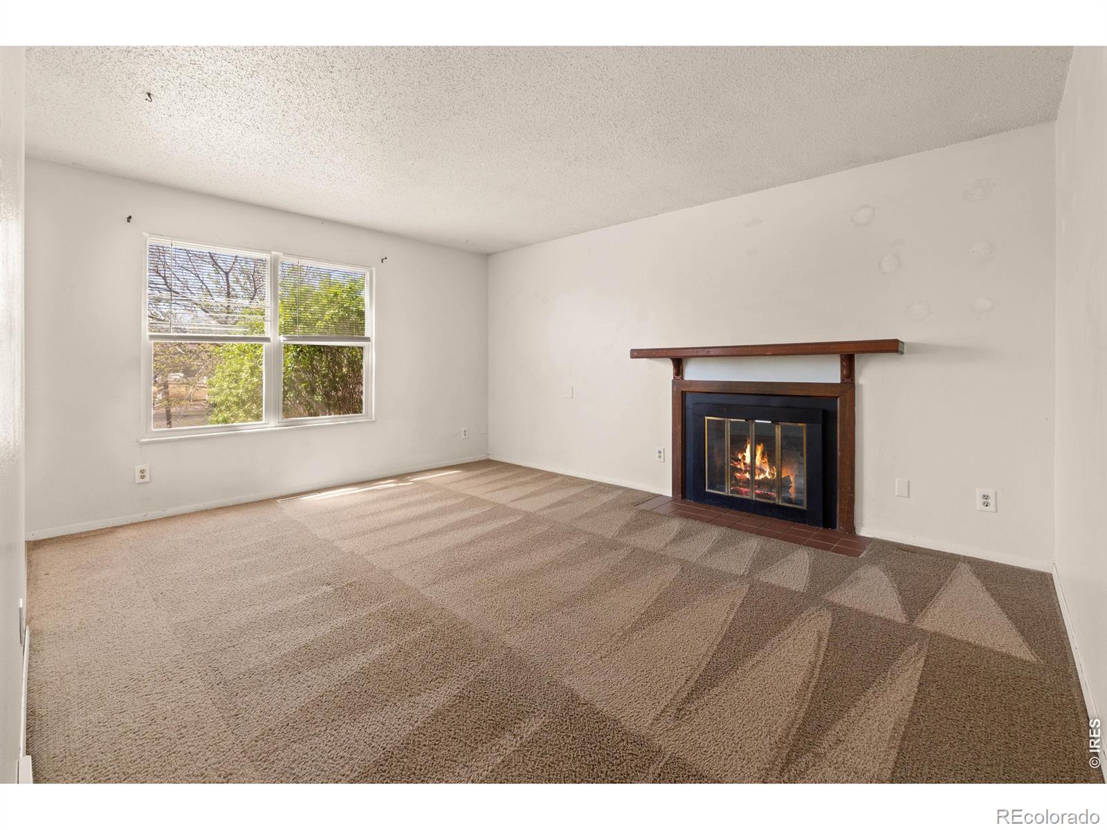 MLS Image #20 for 3500  lilac lane,evans, Colorado