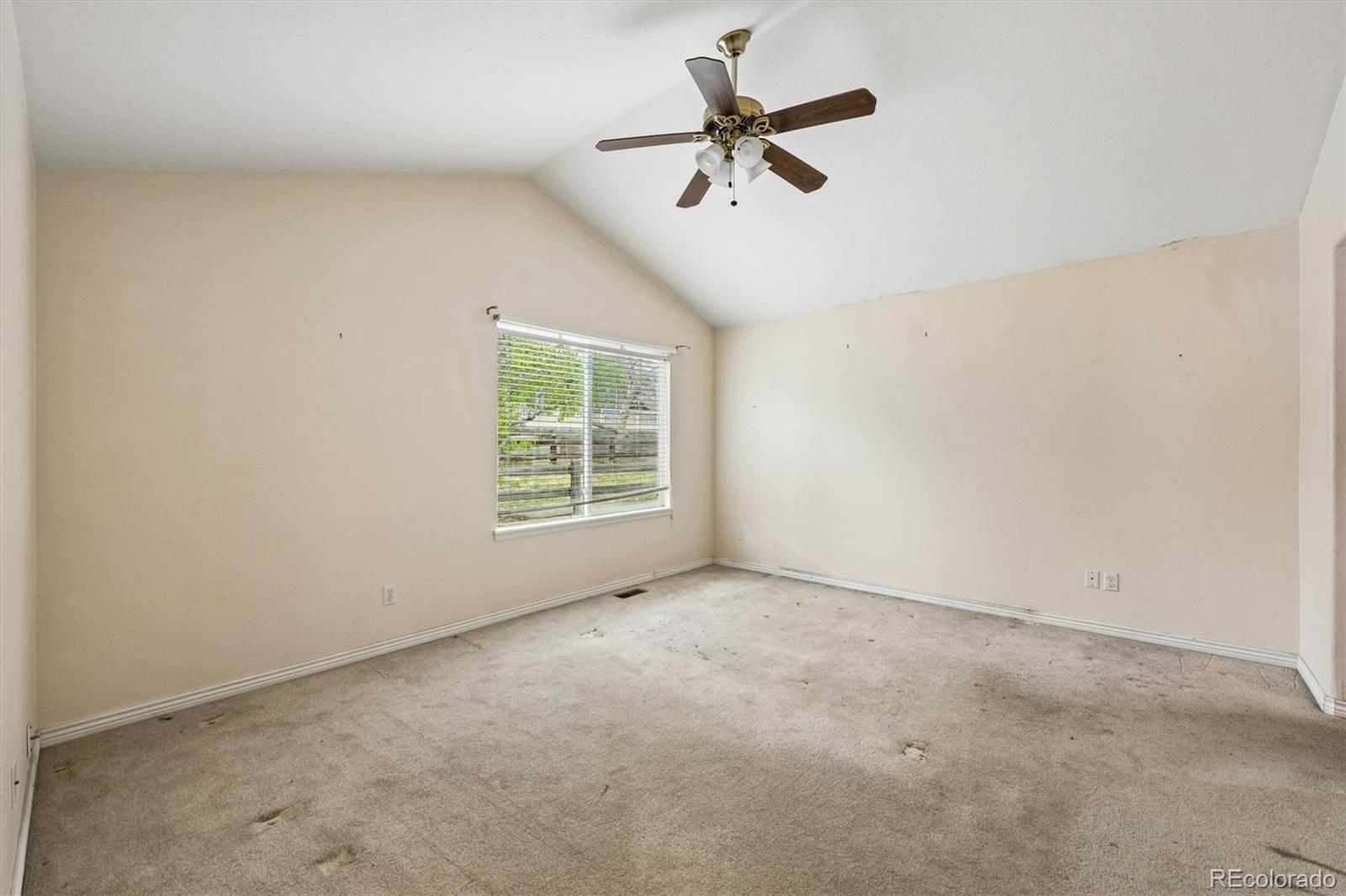 MLS Image #13 for 1927  rough court,castle rock, Colorado