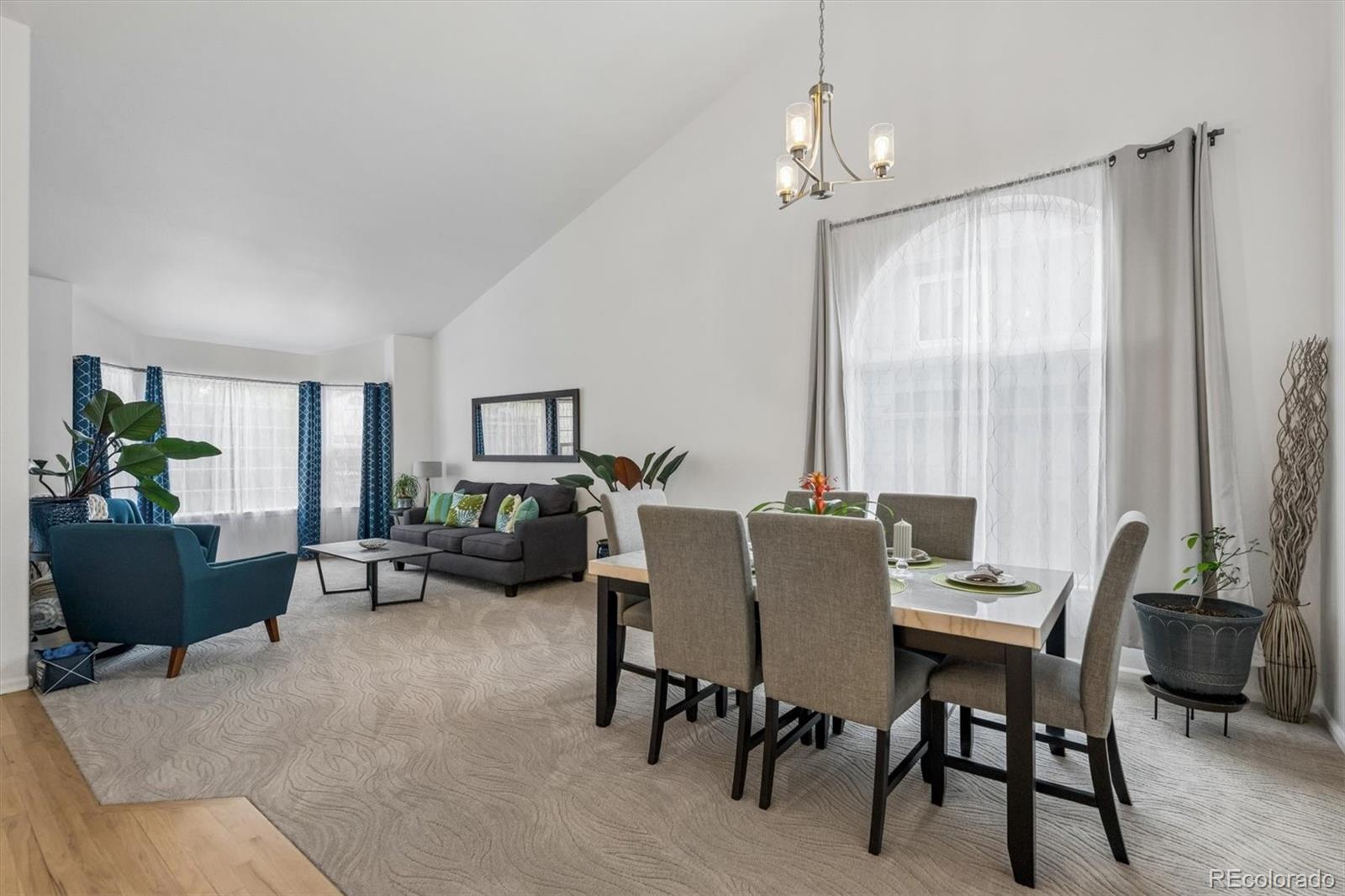 MLS Image #10 for 9952  silver maple road,highlands ranch, Colorado