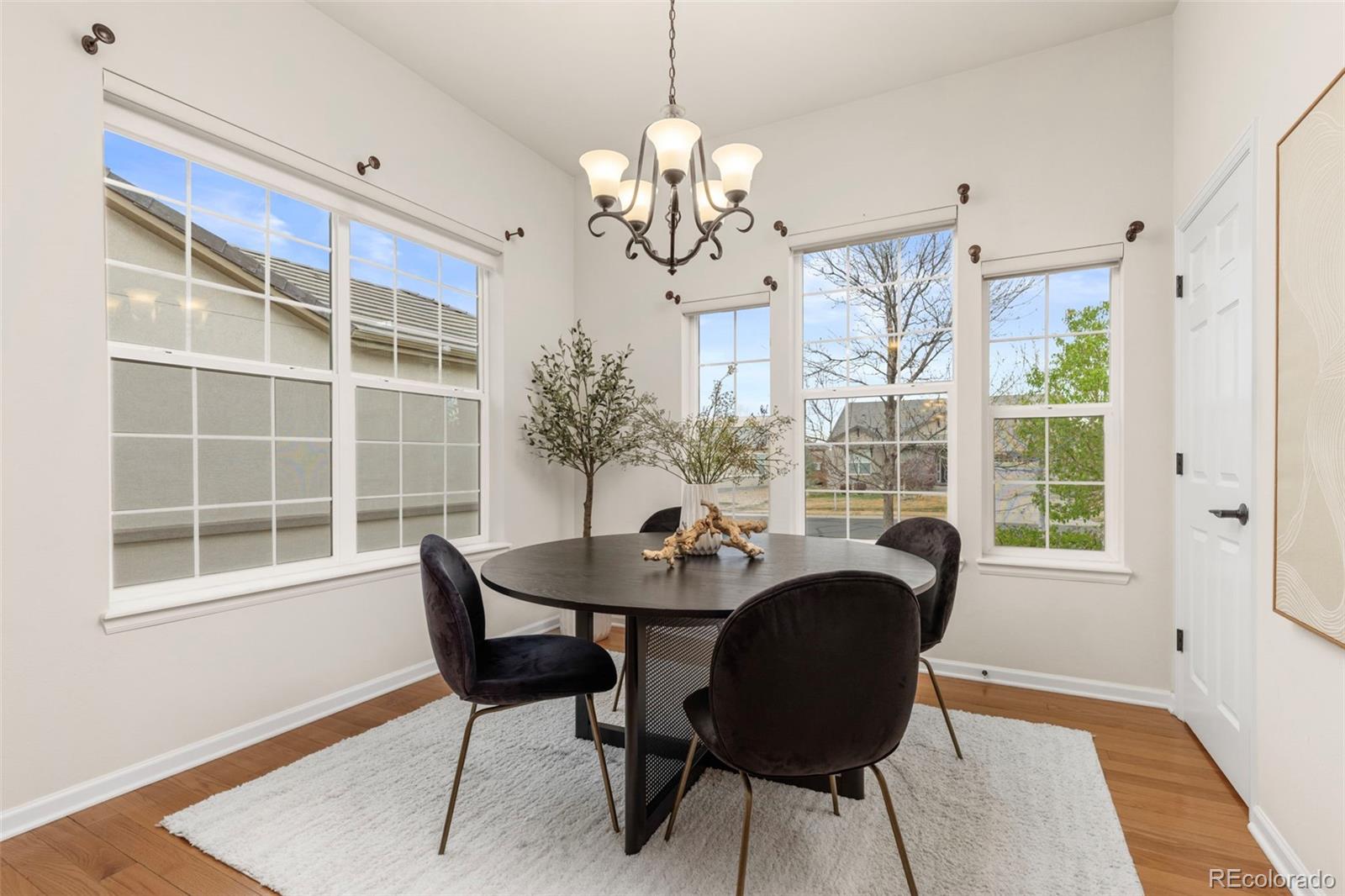 MLS Image #17 for 4824  flash court,broomfield, Colorado