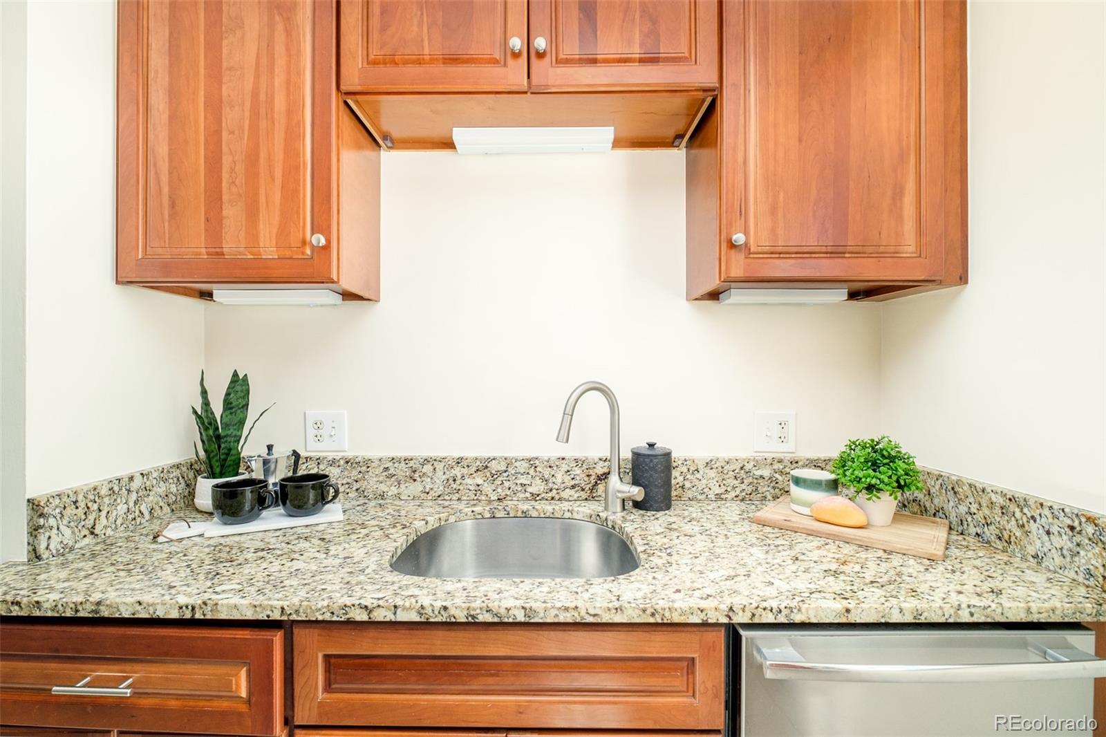 MLS Image #11 for 1460 s birch street,denver, Colorado