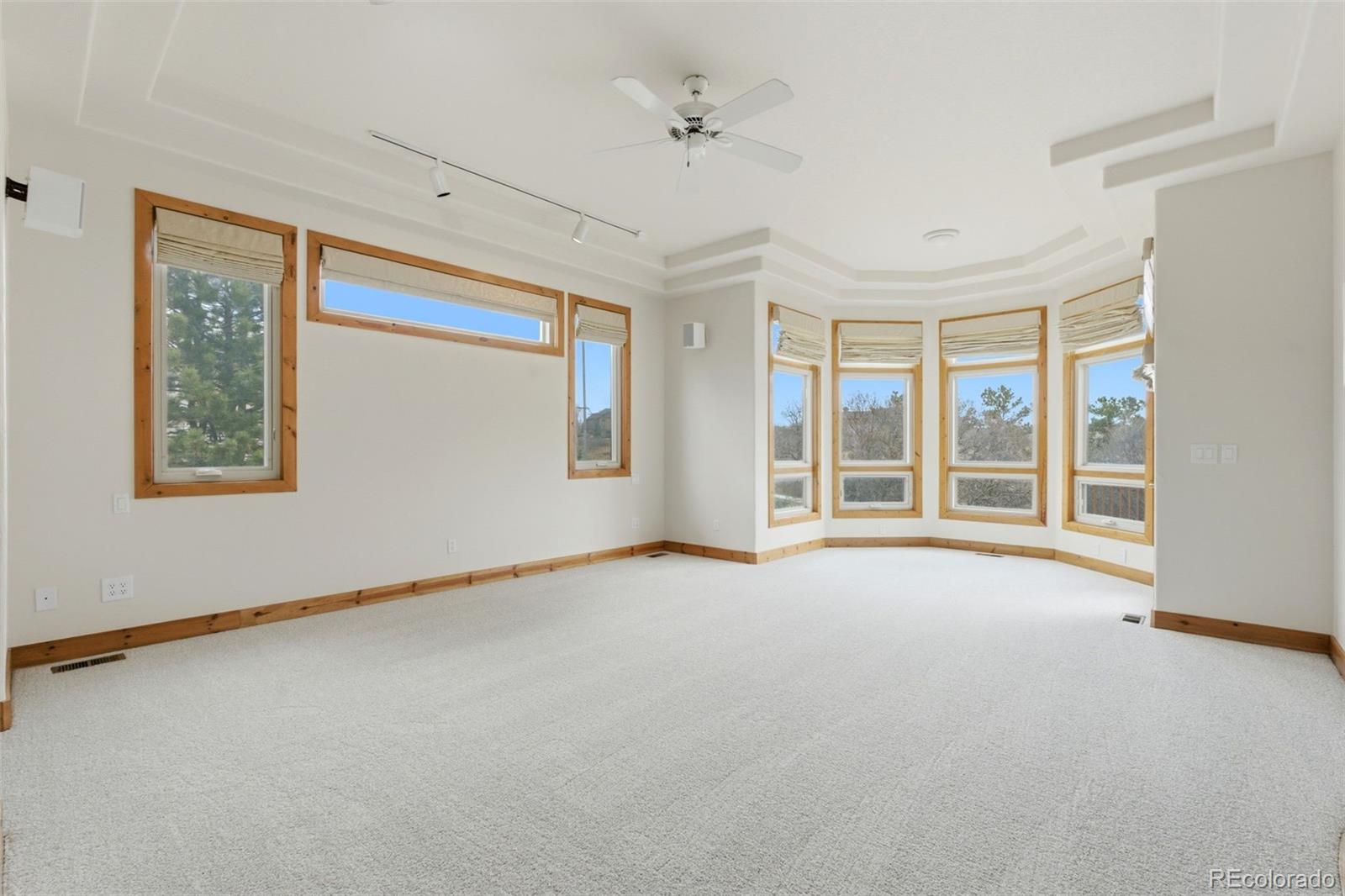 MLS Image #20 for 2131  kahala circle,castle rock, Colorado