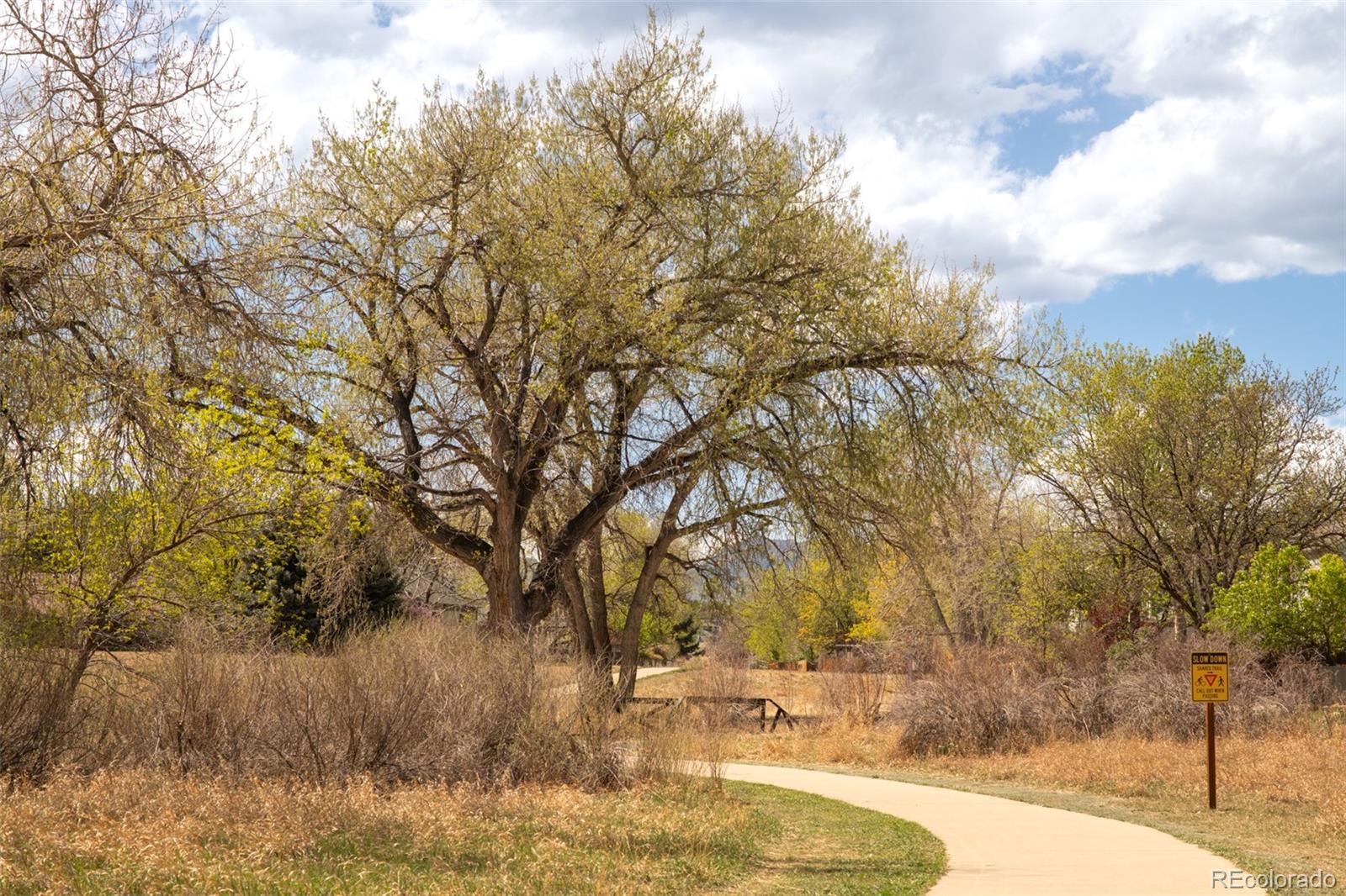 MLS Image #32 for 437 w sycamore court,louisville, Colorado