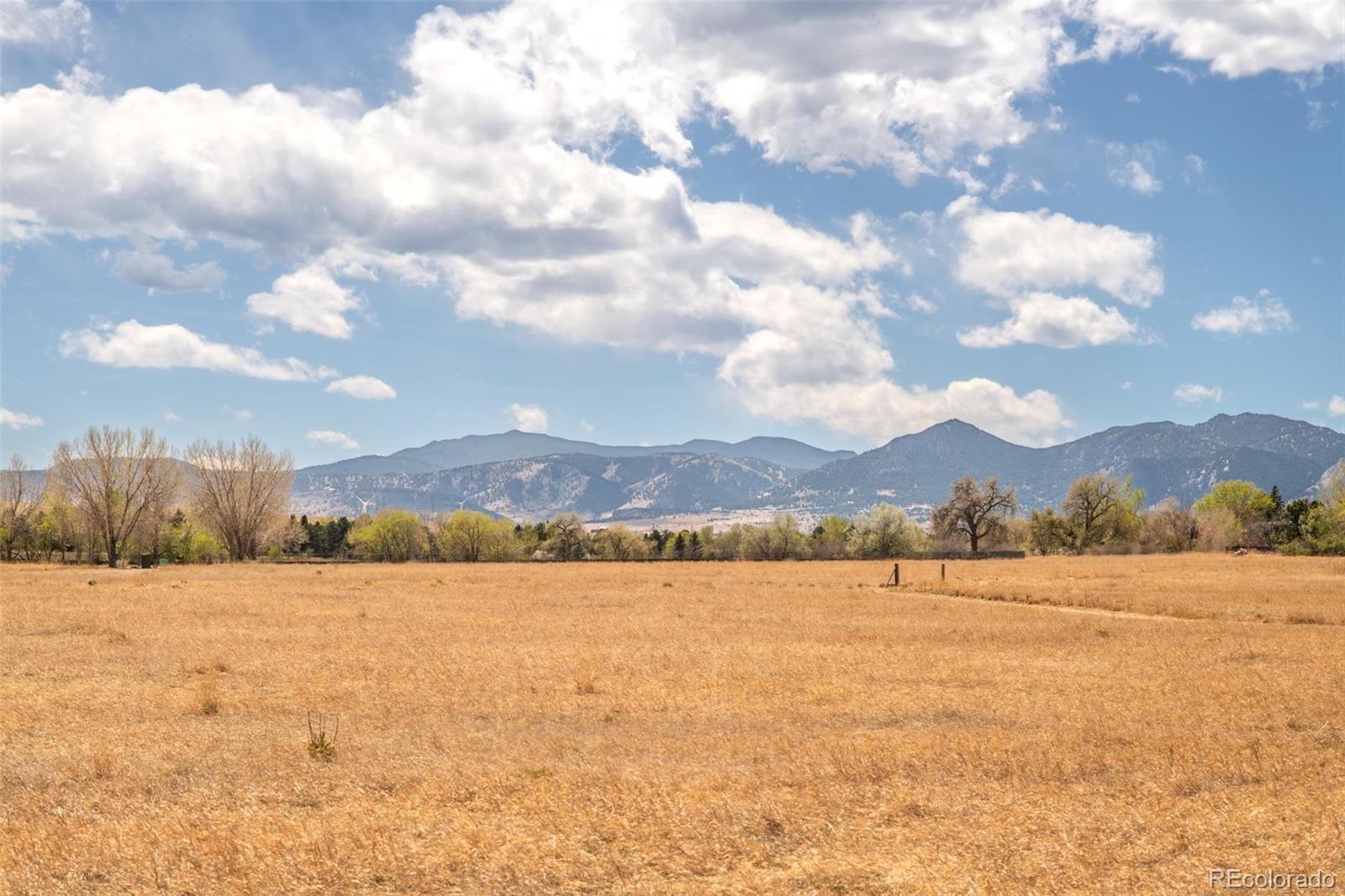 MLS Image #34 for 437 w sycamore court,louisville, Colorado