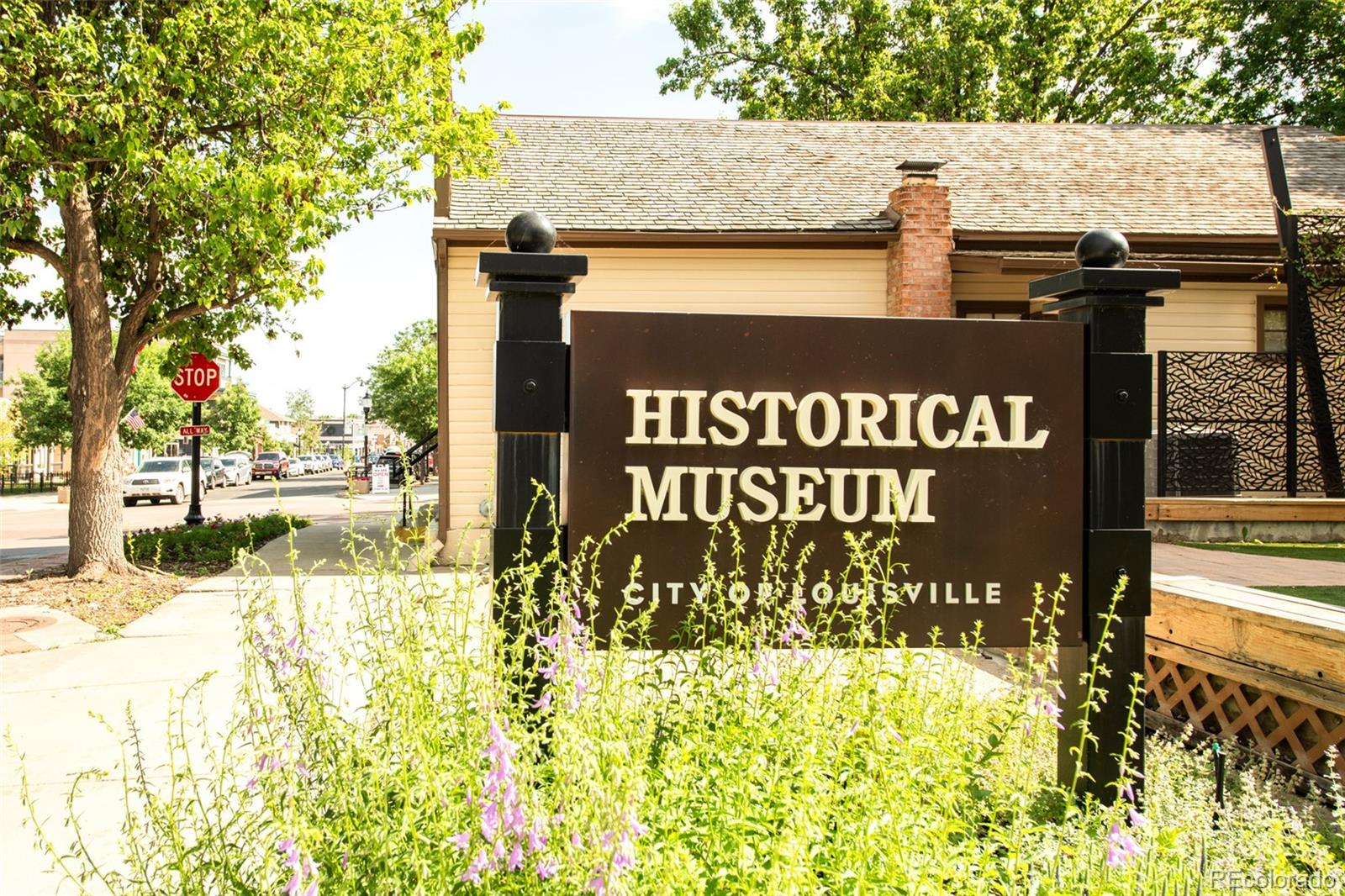 MLS Image #39 for 437 w sycamore court,louisville, Colorado