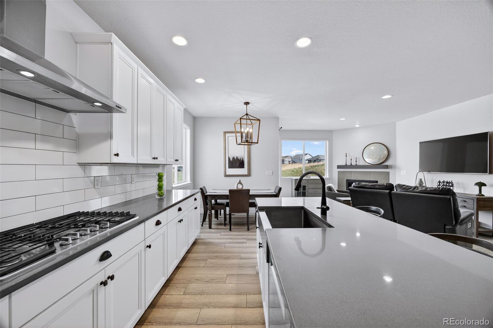 MLS Image #7 for 2034  peralta loop,castle rock, Colorado