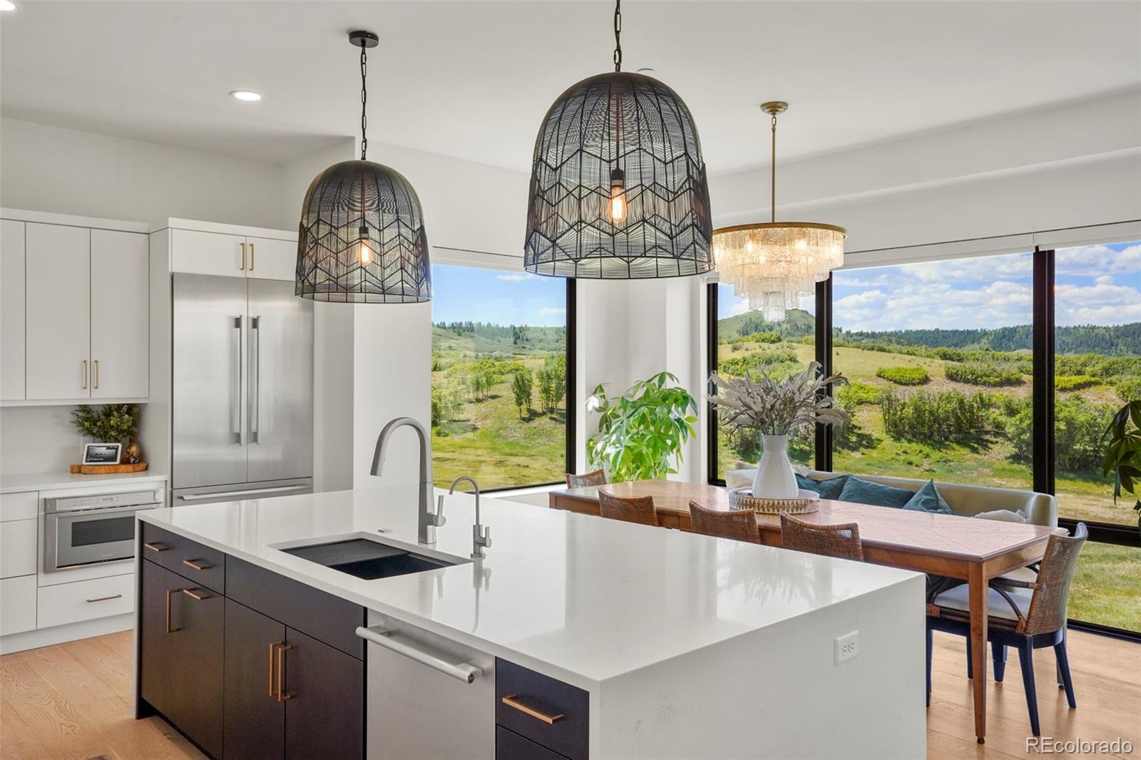 MLS Image #10 for 1544  king mick court,castle rock, Colorado