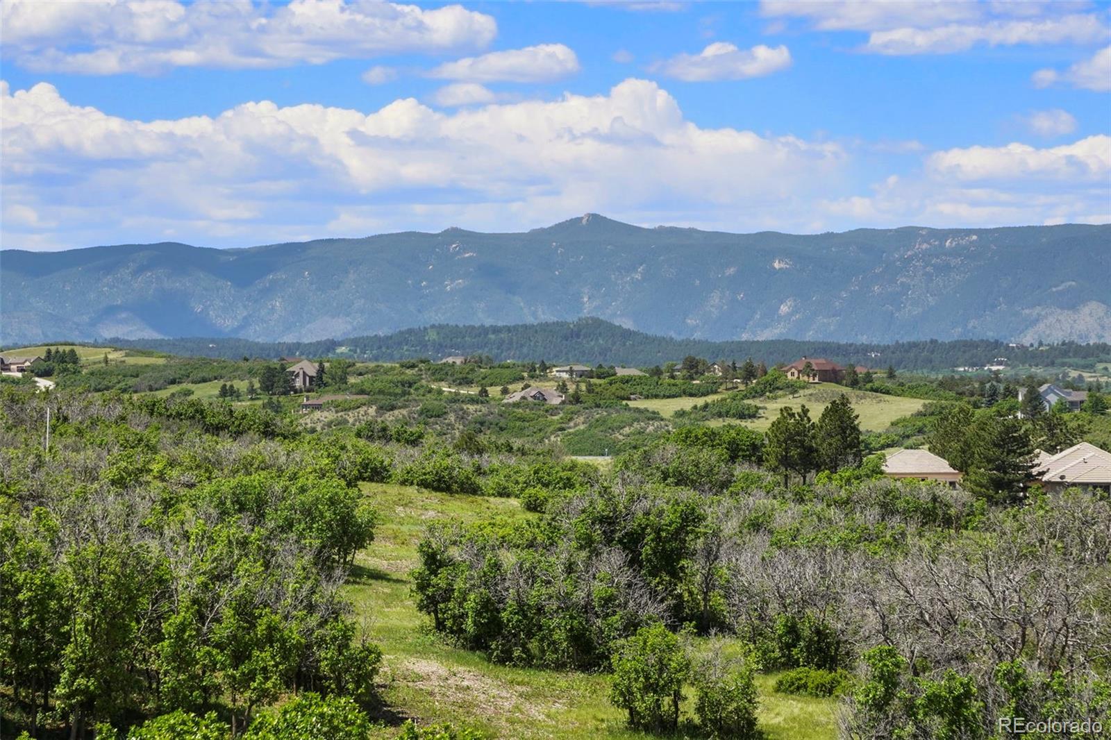 MLS Image #3 for 1544  king mick court,castle rock, Colorado