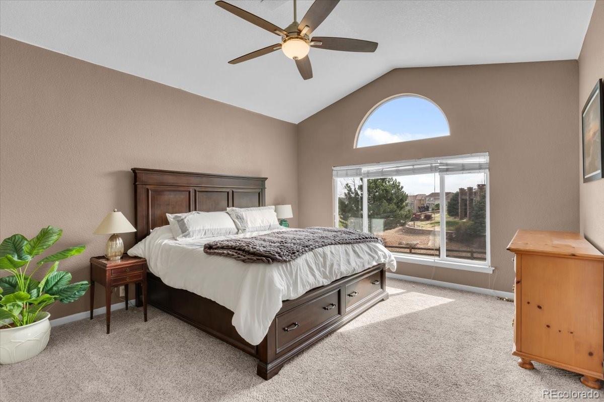 MLS Image #11 for 12134  pine top street,parker, Colorado
