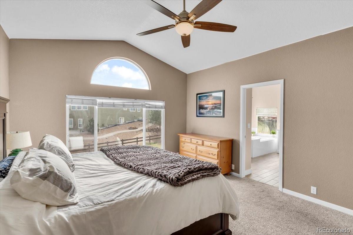 MLS Image #12 for 12134  pine top street,parker, Colorado
