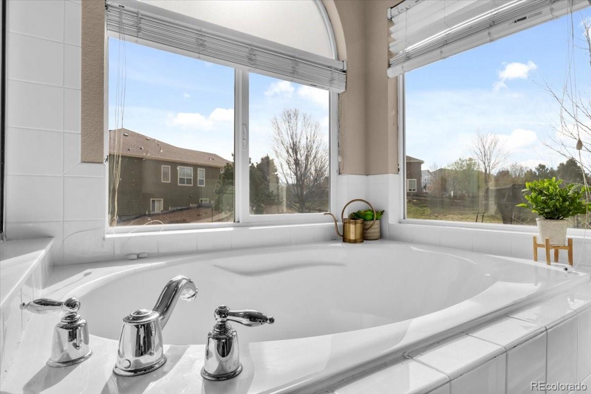 MLS Image #14 for 12134  pine top street,parker, Colorado