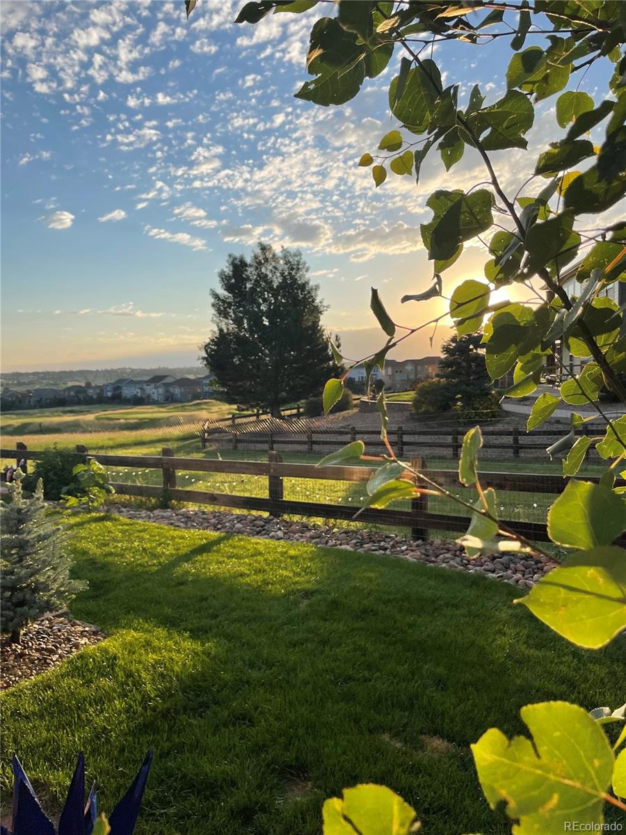MLS Image #36 for 12134  pine top street,parker, Colorado