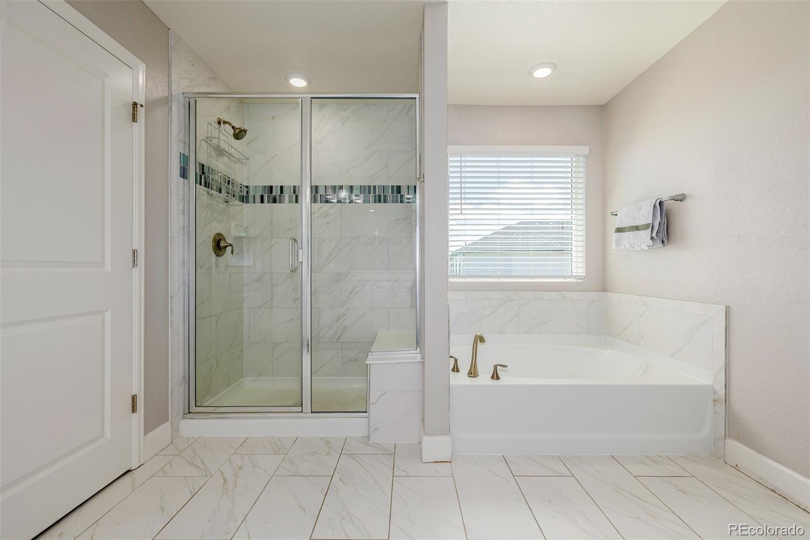MLS Image #20 for 1658  pinion wing circle,castle rock, Colorado