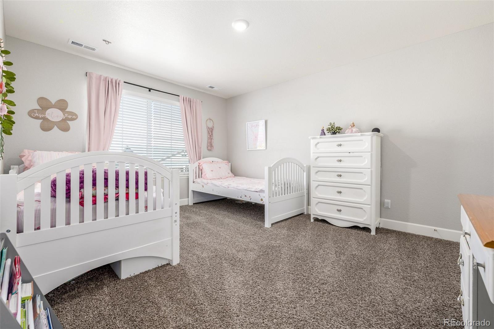 MLS Image #26 for 1658  pinion wing circle,castle rock, Colorado
