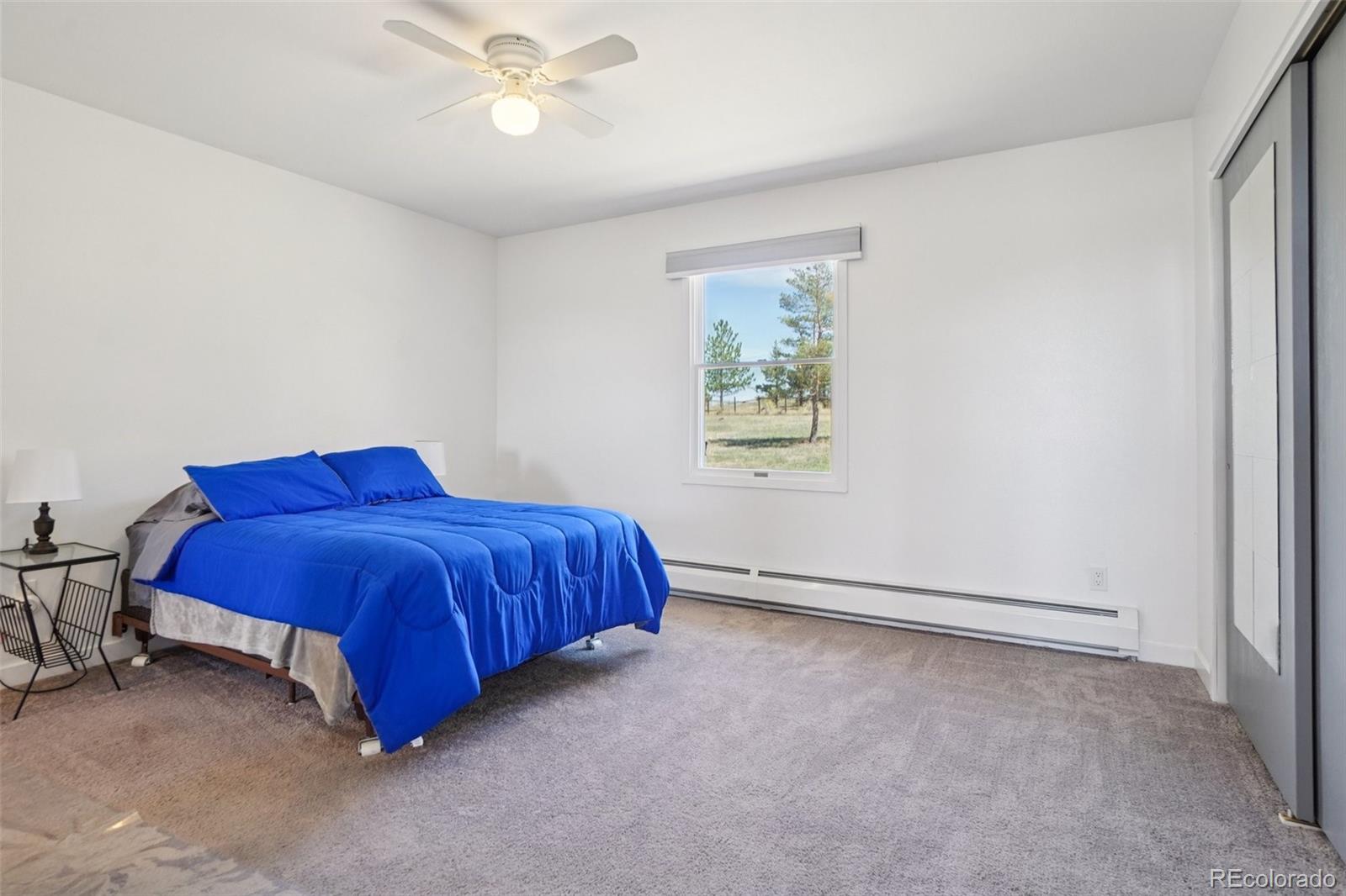 MLS Image #20 for 7152  homestead road,parker, Colorado