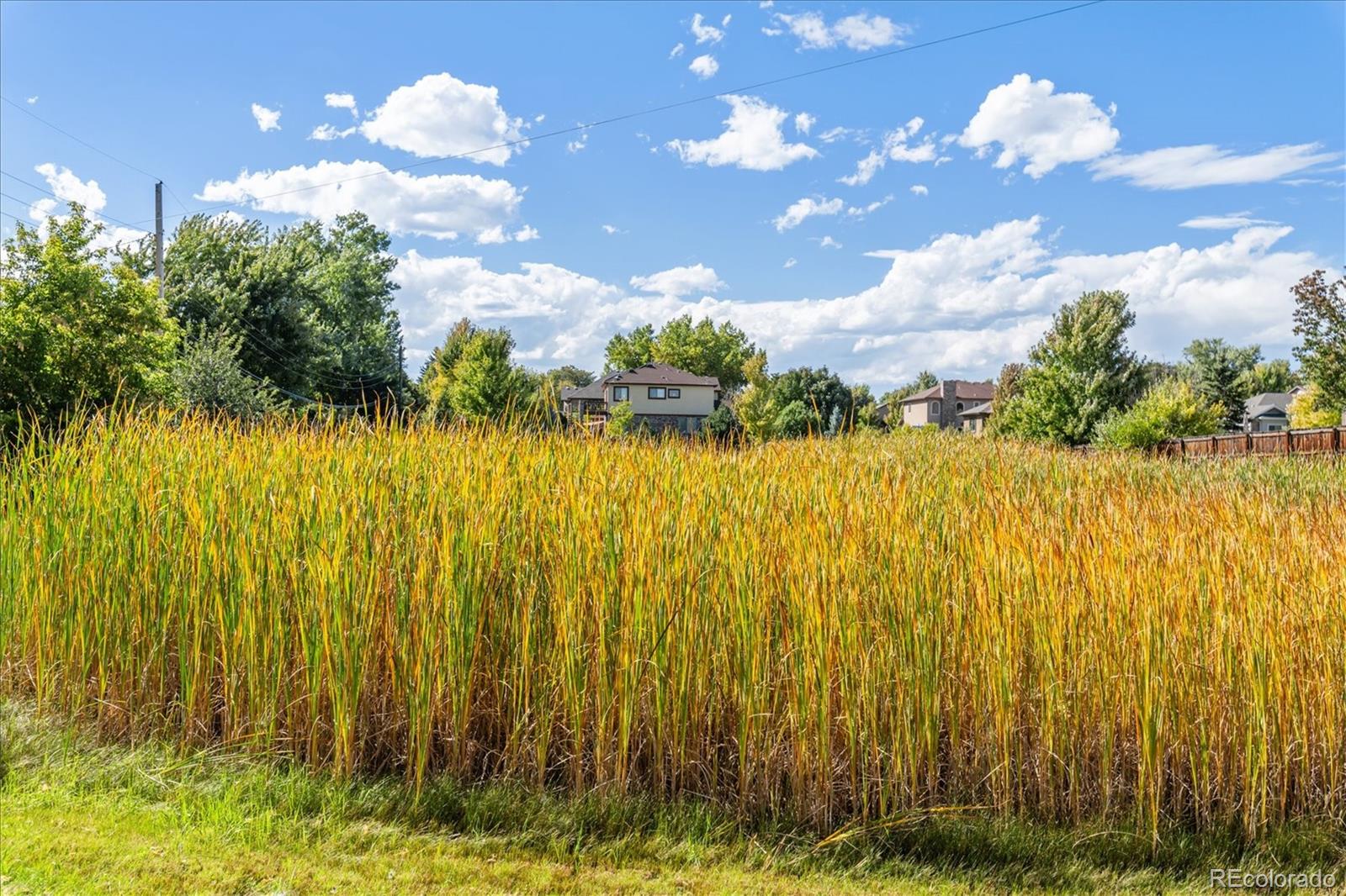 MLS Image #24 for 1279 s allison street,lakewood, Colorado