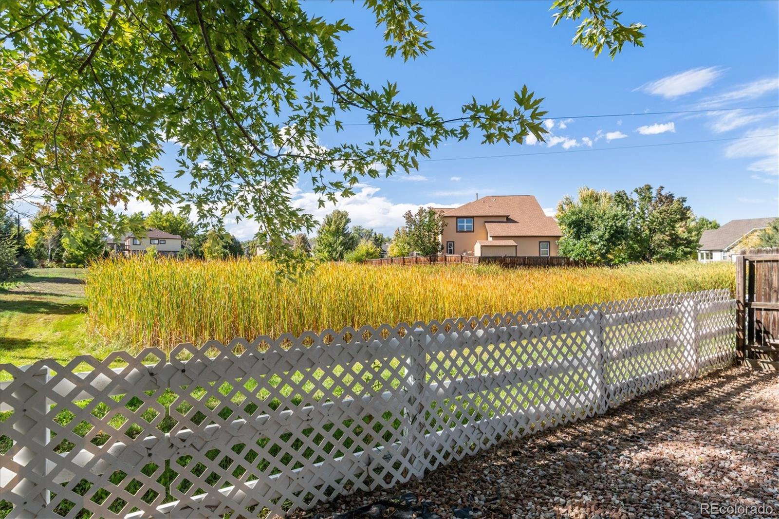 MLS Image #25 for 1279 s allison street,lakewood, Colorado